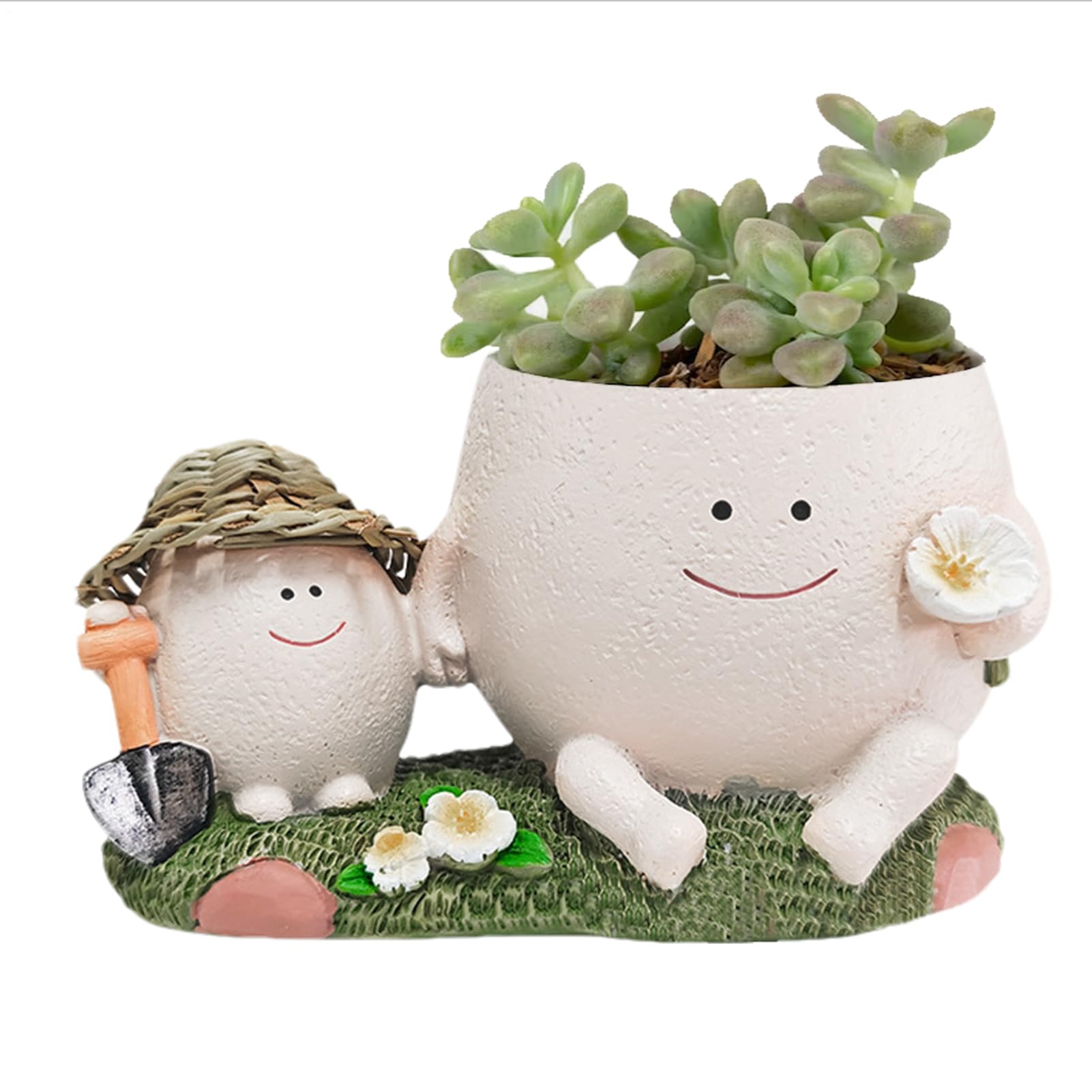Pots de fleurs succulentes en résine pour un balcon verdoyant unique