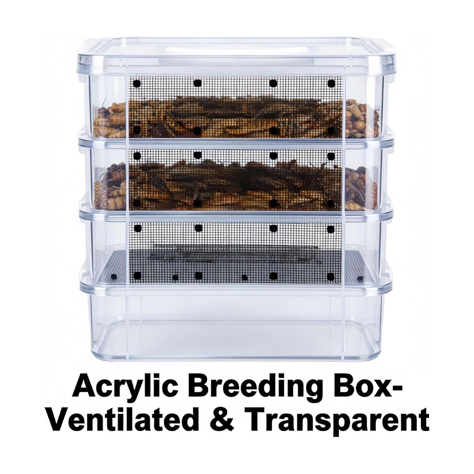 View 7
