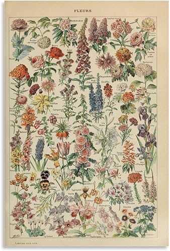 HUEH Adolphe Millot - Póster de flores vintage para decoración del hogar, diseño de flores silvestres botánicas, arte de pared, pinturas para sala