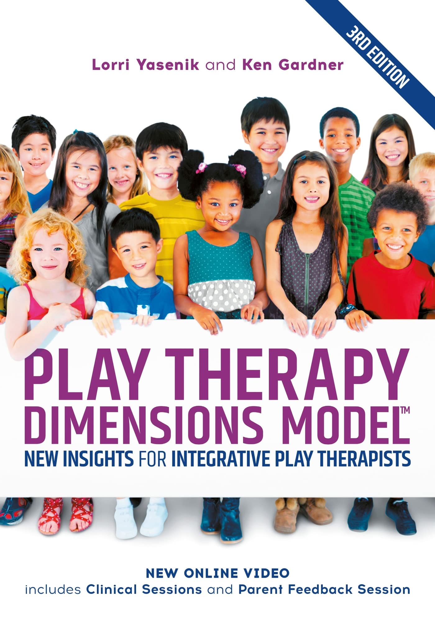 Play Therapy Dimensions Model: New Insights for Integrative Play Therapists (3rd edition)