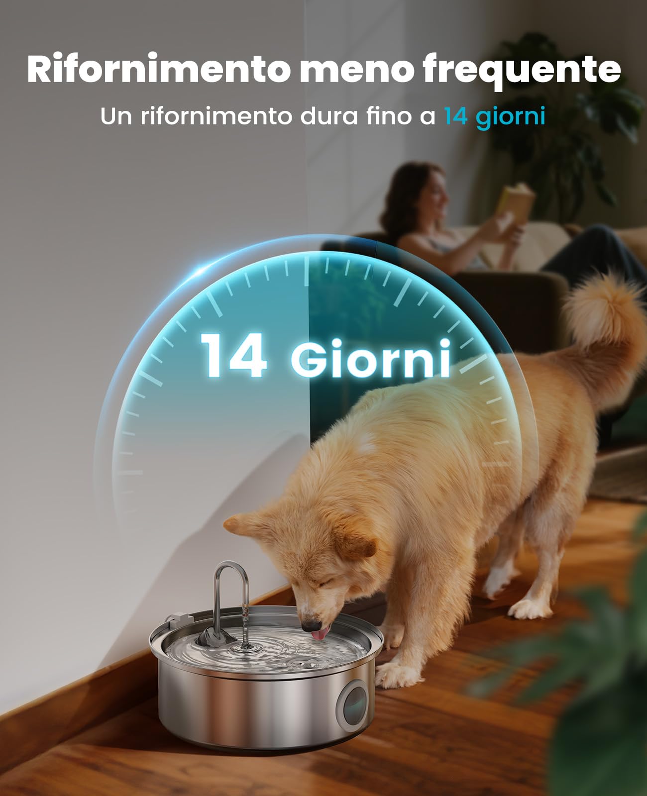 7L Fontanella per cani oneisall, fontanella per cani in acciaio inox con ampia finestra di visualizzazione, con luce LED, pompa ultra-silenziosa con protezione da sovraccarico, filtraggio a 5 strati