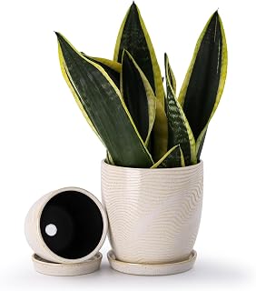 4+5.75 Inch Ceramic Planter Set of 2 with Drainage Hole and Saucer for Plants, Indoor-Outdoor Large Round Succulent Orchid Flower Pot -Reactive Color, Inner-pots not Larger Than 5 Inch