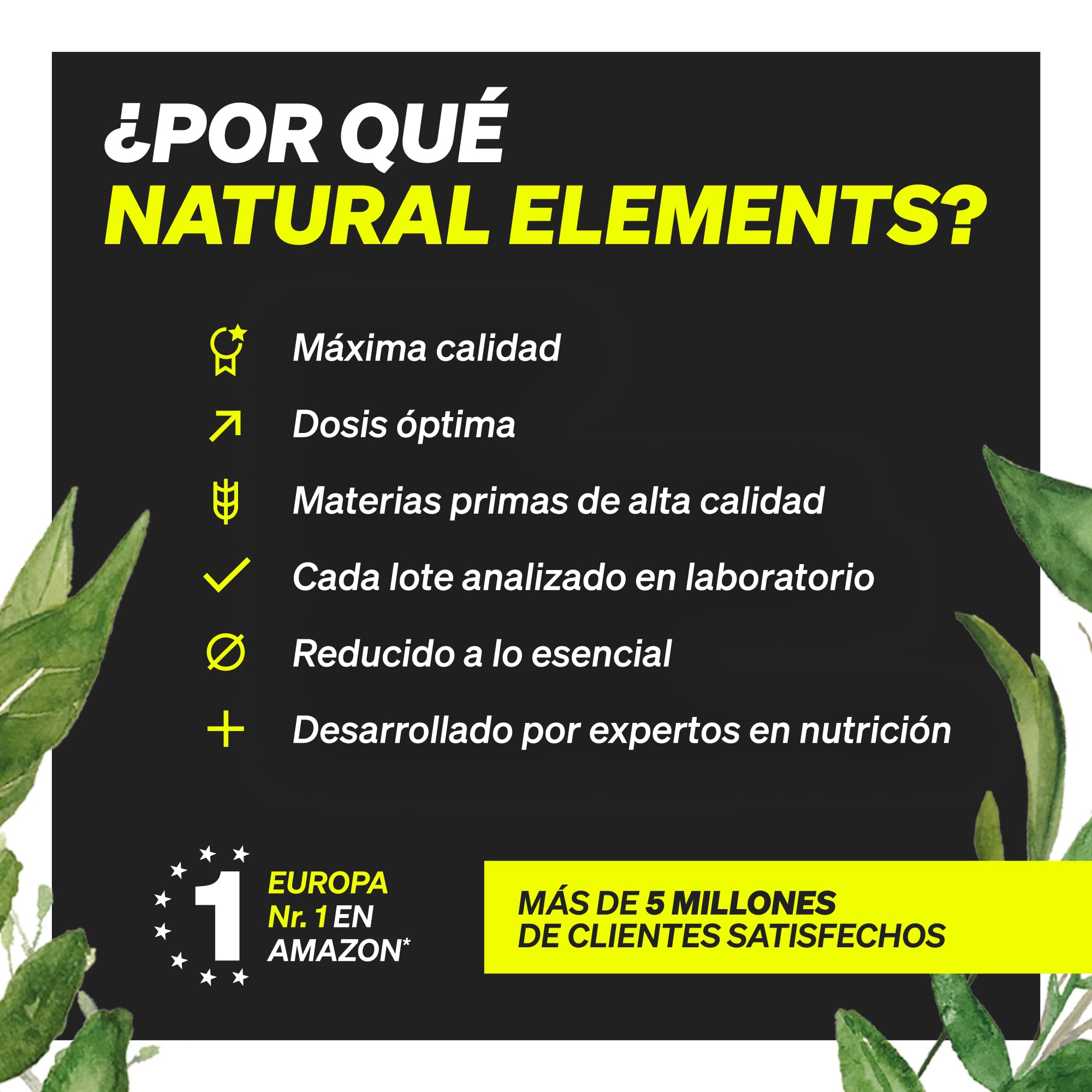 Creatina Monohidrata en Polvo 500g - 147 porciones de creatina Creapure® - Soporte premium para fuerza muscular* - Creatine vegana con dosificador - Sin sabor y sin aditivos innecesarios
