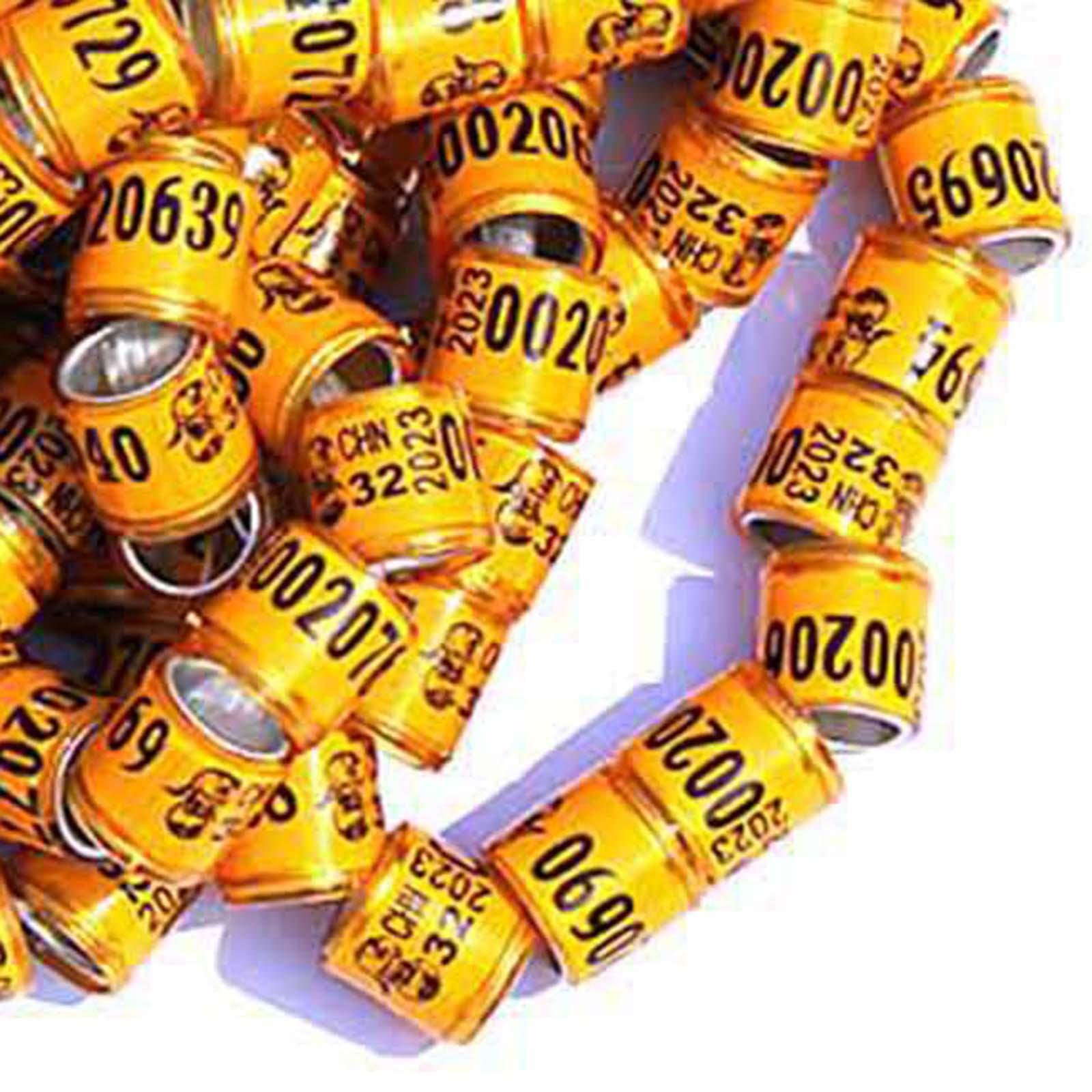 See full amazon price history chart for Enakshi (LABEL) 50X 2023 Pigeon Leg Rings Bird Foot Bands For Bantam Finch Canary Orange |Pet Supplies|Bird Supplies|Other Bird Supplies Enakshi (LABEL) 50X 2023 Pigeon Leg Rings Bird Foot Bands For Bantam Finch Canary Orange |Pet Supplies|Bird Supplies|Other Bird Supplies (B0BR3DWRDS) Amazon Price History, Amazon Price Tracker