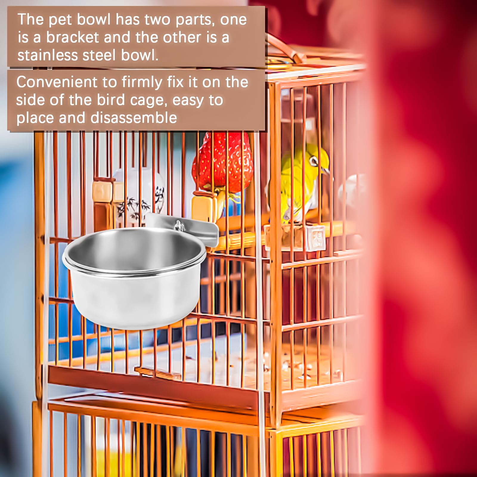 Beautiful view of Ordinary Feeding Dish For Parrot Cage Spring Tray