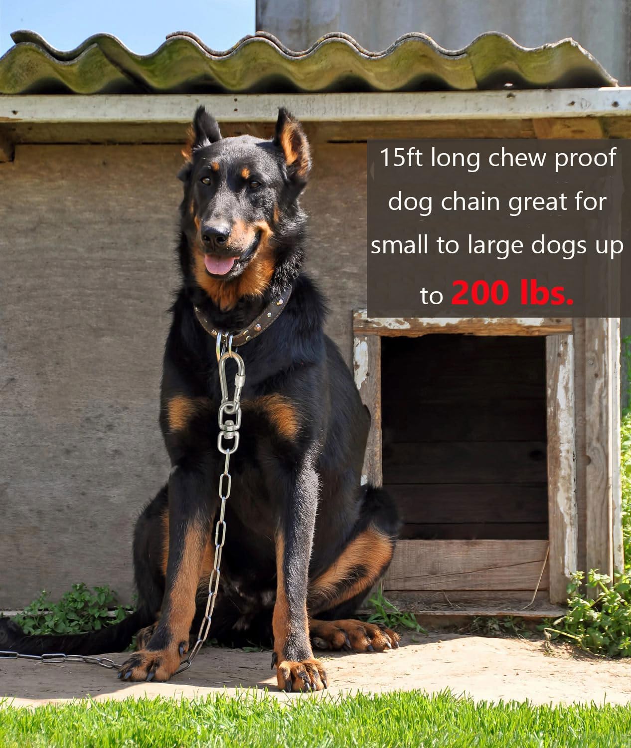 MELAIRON Hundekette 4,5 M – Rostfreie Edelstahl-Spannkette Für Hunde Bis 90 Kg, Wetterfest, Verhedderungsfrei