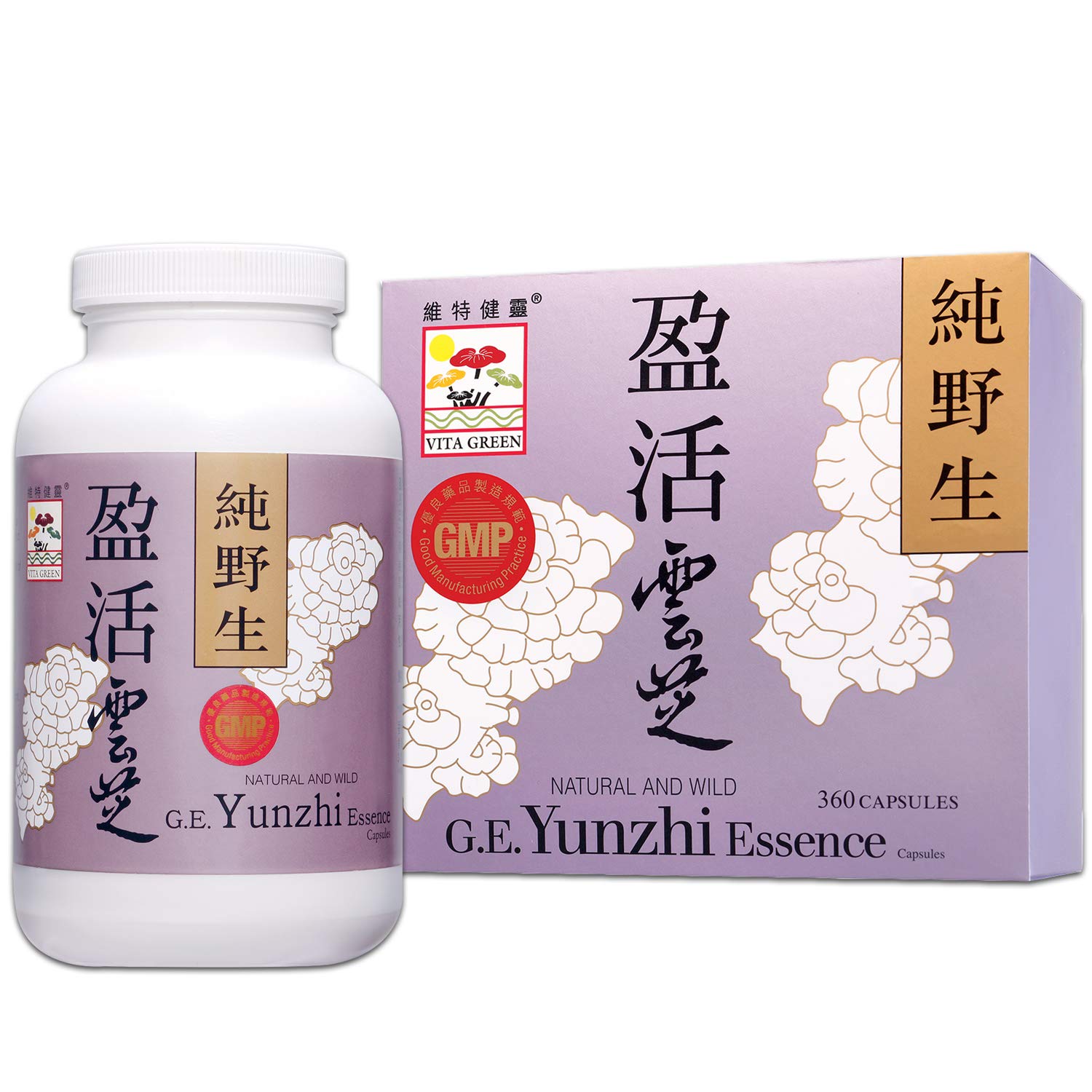 Buy Vita Green Turkey Tail Mushroom s Essence, Real Mushrooms