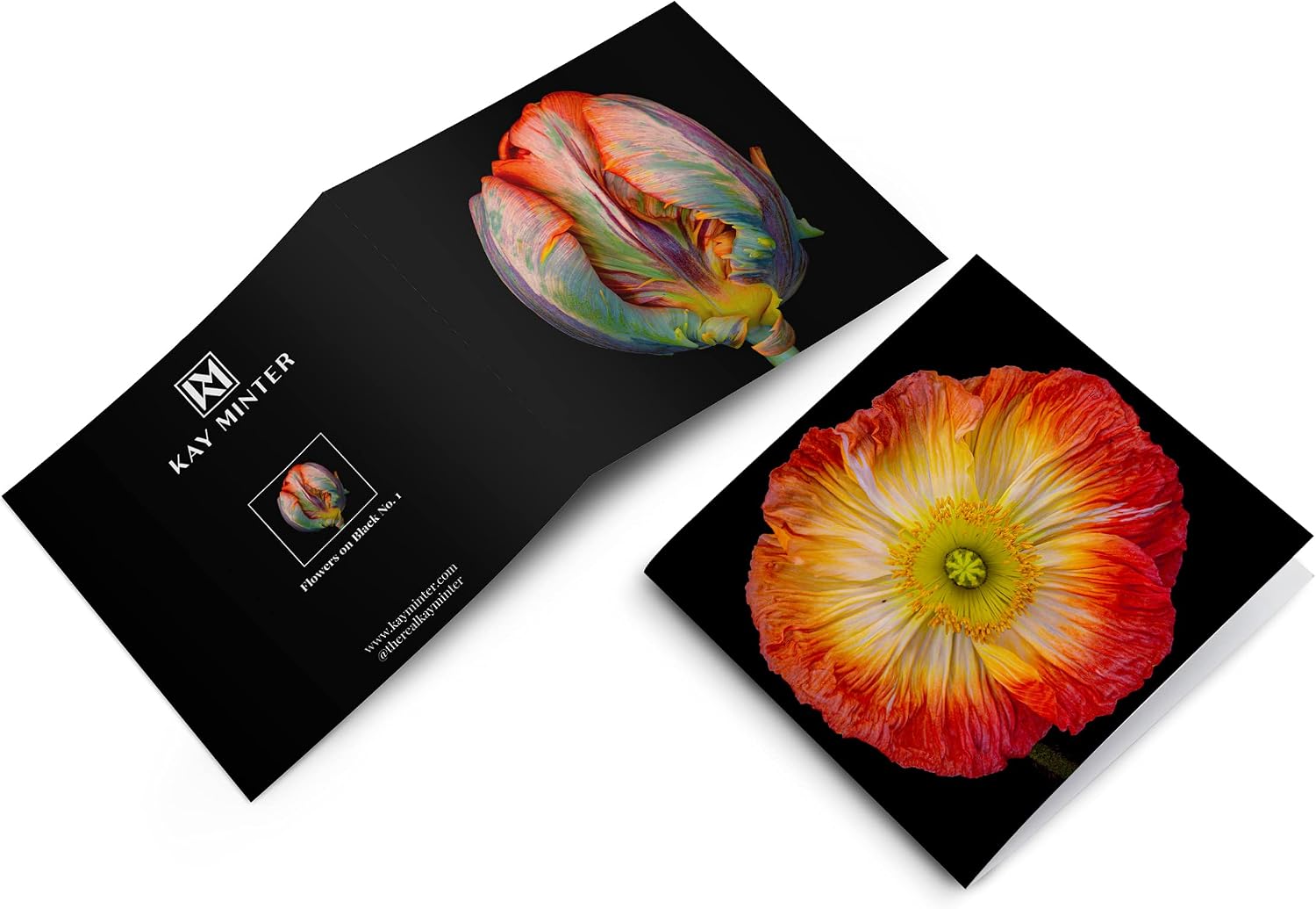 Kay Minter Birthday/Greeting Flower Art Cards, Luxury Selection Pack of 4 With Envelopes, Blank Inside, Black, Red, Yellow - Image 3