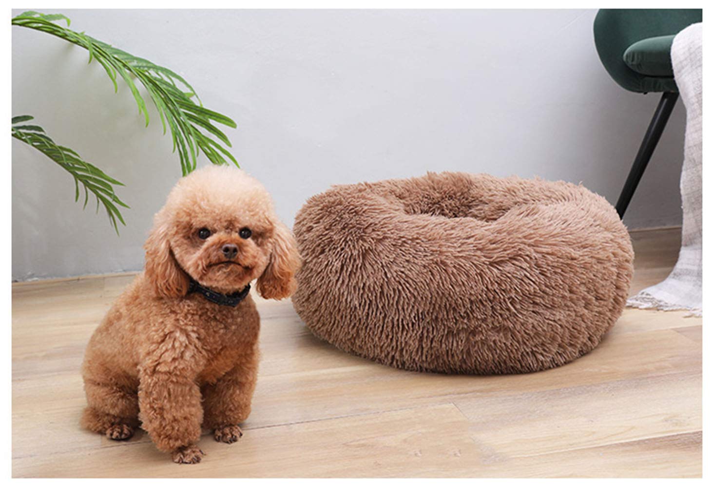 BODISEINT Modern Soft Plush Round Pet Bed for Cats or Small Dogs Mini Medium Sized Dog Cat Bed Self Warming Autumn Winter Indoor Snooze Sleeping Cozy Kitty Teddy Kennel (20'' D x 8'' H - Image 2