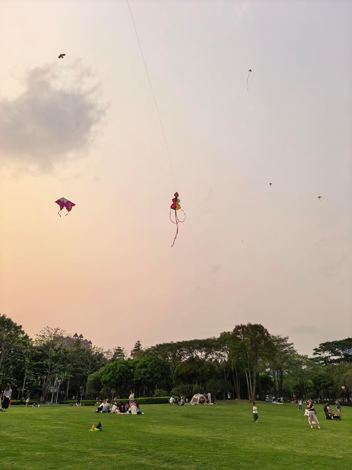 Artistic Violin Kite Colorful Abstract Design, Kitess for Kids Kites for Adults, Easy to Fly Kite Long Tail Outdoor Beach Park Kites, Perfect Photo Prop & Unique Gift Festival Decorations