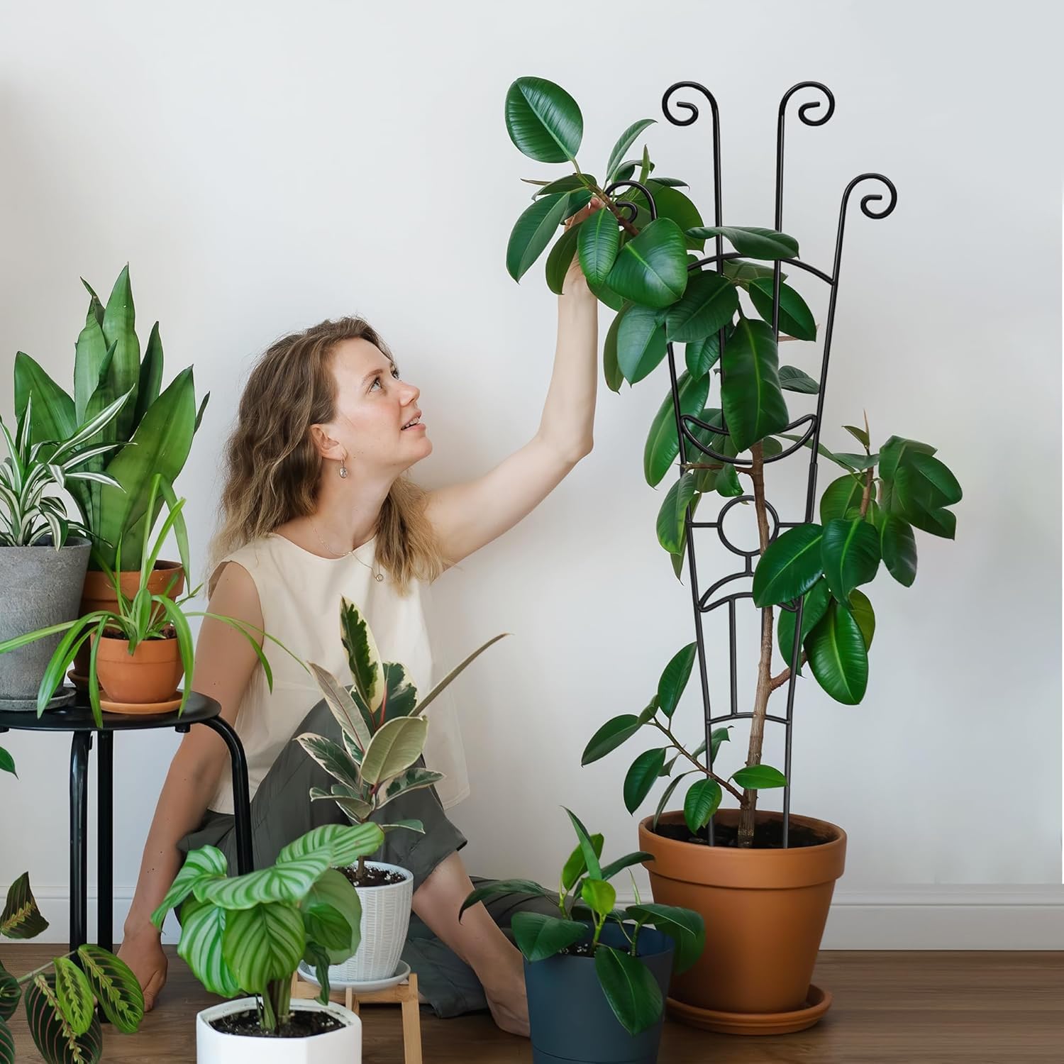 2Pcs Rankgitter 82cm hoch Rankhilfe Pflanzenstütze für Kletterpflanzen, Robuste Metall Pflanzengitter Rankstäbe Pflanzen Stützpfähle für Rosen Clematis Efeutute Monstera Tomaten Topfpflanzen