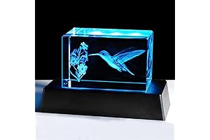 Exquisite 3D Laser Engraved Luminous Crystal Hummingbird