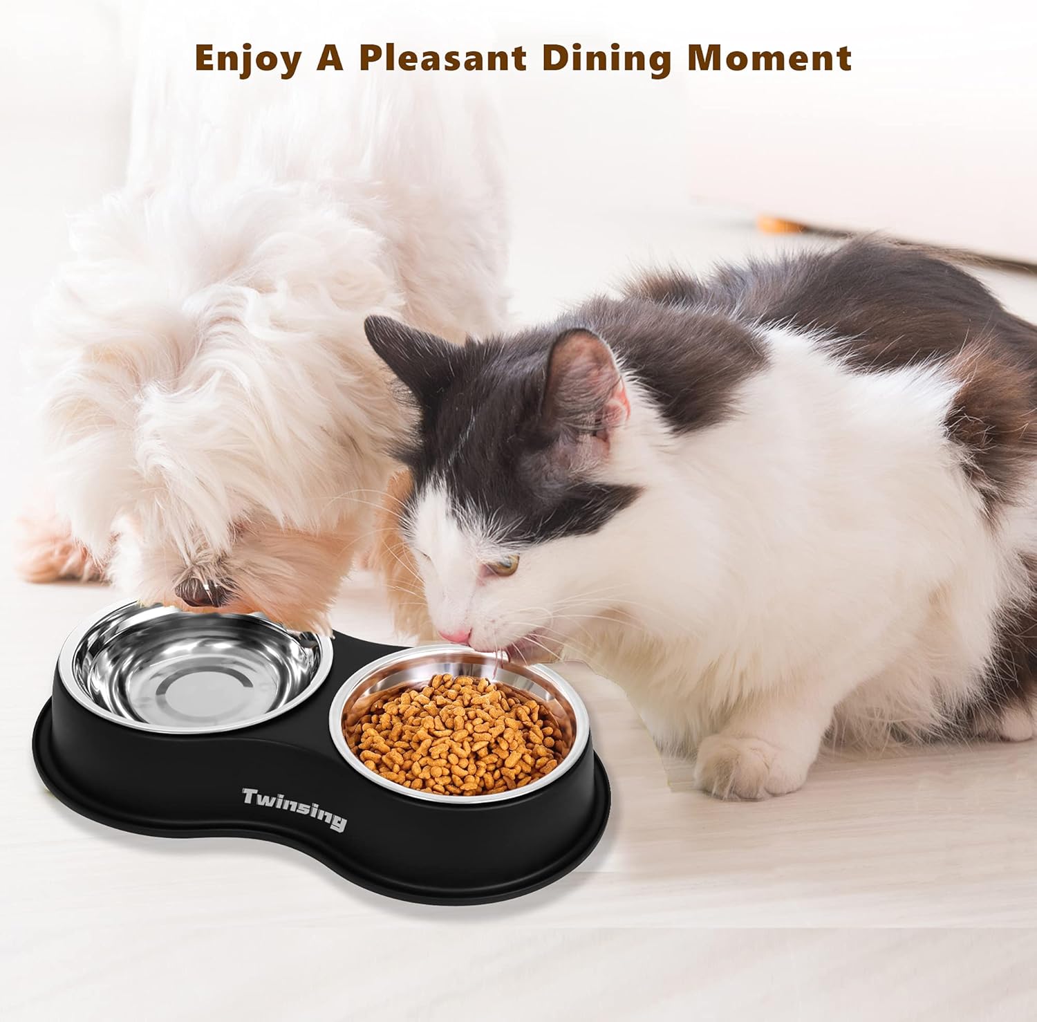 Pet Supplies : Dog Bowls Double Dog Water and Food Bowls Stainless Steel Bowls with Non-Slip Resin Station, Pet Feeder Bowls for Puppy Medium Dogs Cats : 