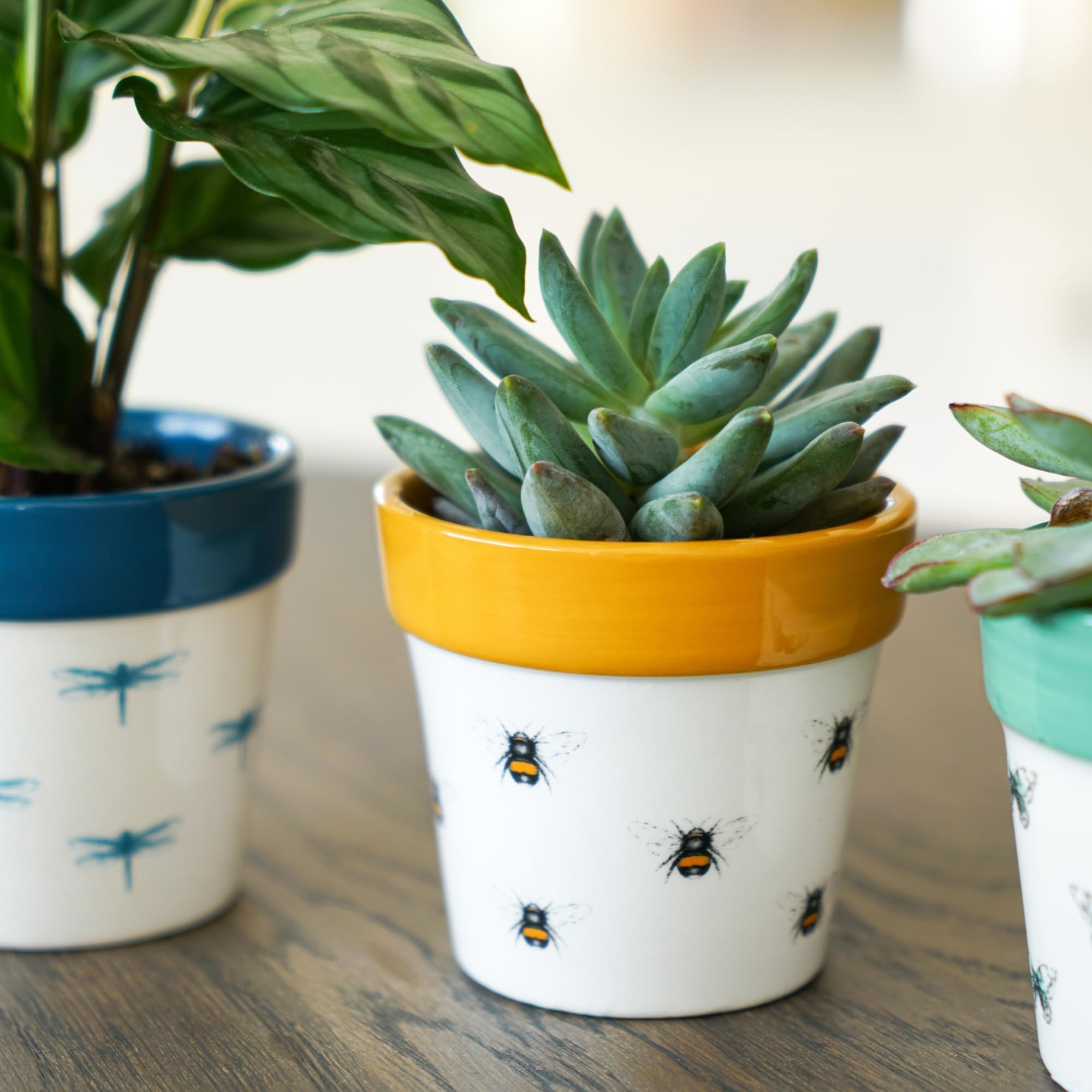 Ivyline Bumble Bee Cacti Planter - Waterproof, Durable & Decorative - Contemporary Stylish Round Indoor Ceramic Houseplant Succulent Pot - H7cm x D7cm