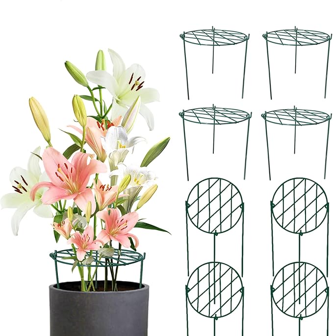 Thealyn Peony Cages and Supports,Grow Through Plant