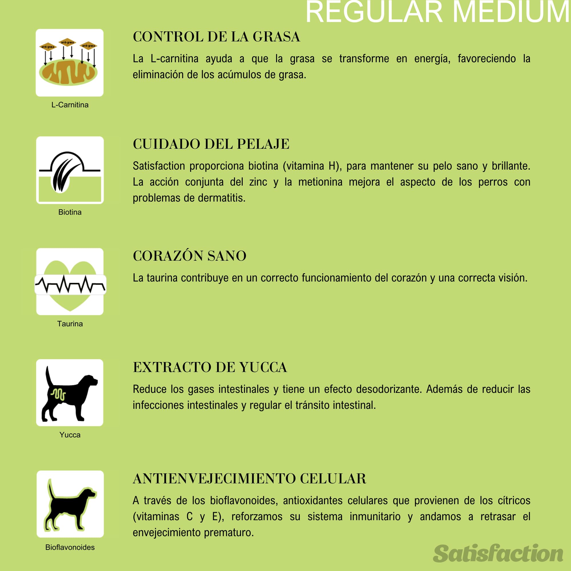 Pienso para Perros Satisfaction Regular Medium 15 KG, pienso para Perros medianos (para Perros Que pesan Entre 10 y 25 kg), Comida para Perros de Raza Mediana elaborada con Pollo Fresco y arroz