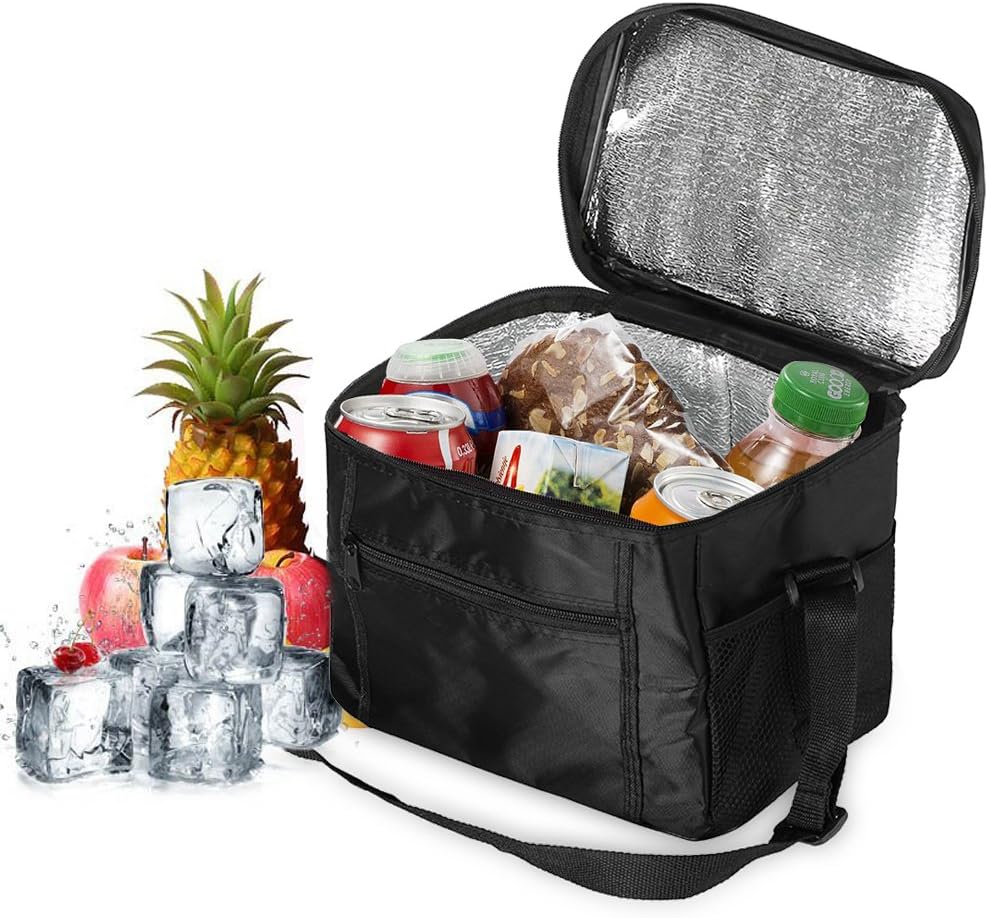 Cooler Bag for Picnics, 10L Waterproof Picnic Bag Foldable Lunch Bag for Camping