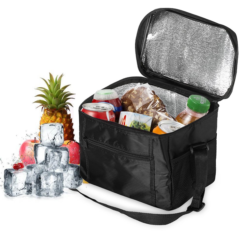 Cooler Bag for Picnics, 10L Waterproof Picnic Bag Foldable Lunch Bag for Camping