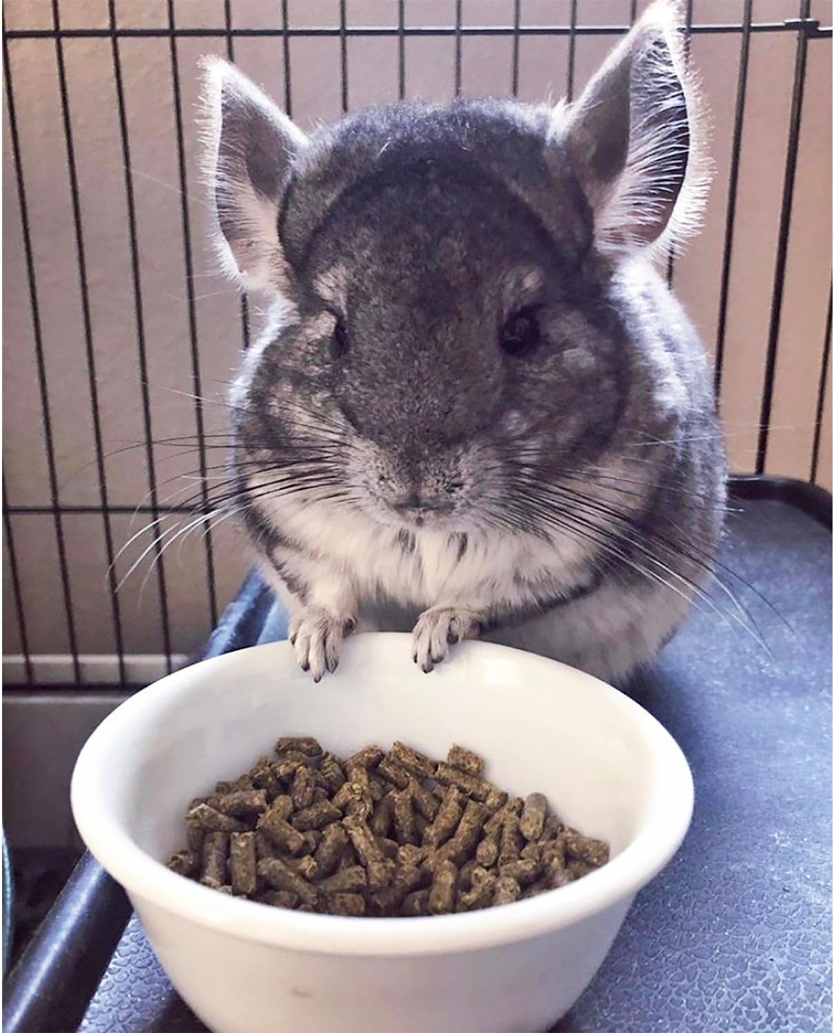 Exotic Nutrition Chinchilla Diet with Rose HIPS 18 lb. - Nutritionally Complete Natural Healthy Pellet Food for Pet Chinchillas