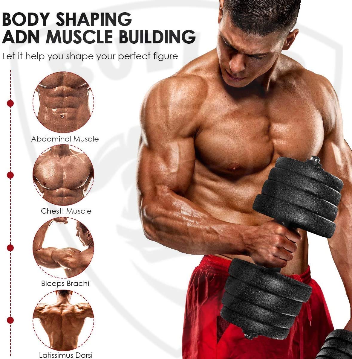 Buy Now Bullar Home Gym Set, Home Gym Combo, Home Gym Equipments For