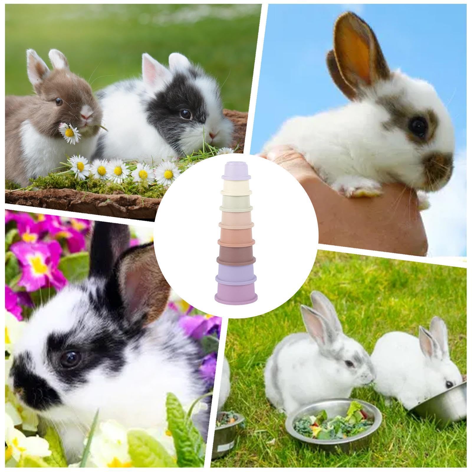 Kaninchen Stapelbecher - 8 Stück Nesting Anreicherung Spielzeug Set | Kleintiere Futtersuche Spiel Stapelsystem Funktion, Ideal für Hasen Meerschweinchen Hamster Interaktive Fütterungsaktivität