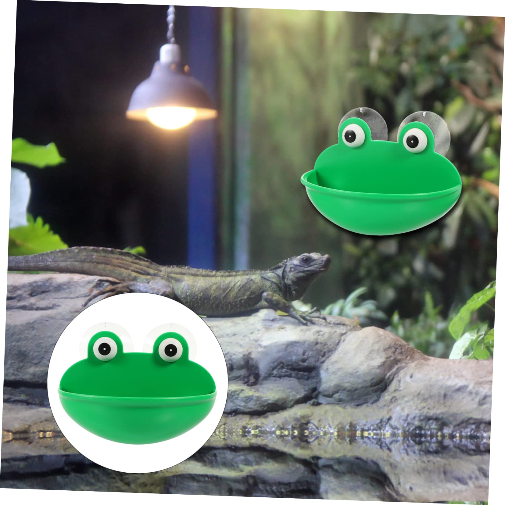 6stücke Reptilien Ruheplatz Für Terrarium Geeignet Für Amphibien Und Kleine Tiere Mit Saugnäpfen Dekorative Terrarium Zubehör Für Frösche Und Geckos