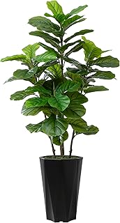 12 Cognac Couch Living Room Ideas That Look Rich 13 Artificial Fiddle Leaf Fig Tree 5FT - Faux Fig Tree with Black Diamond P...