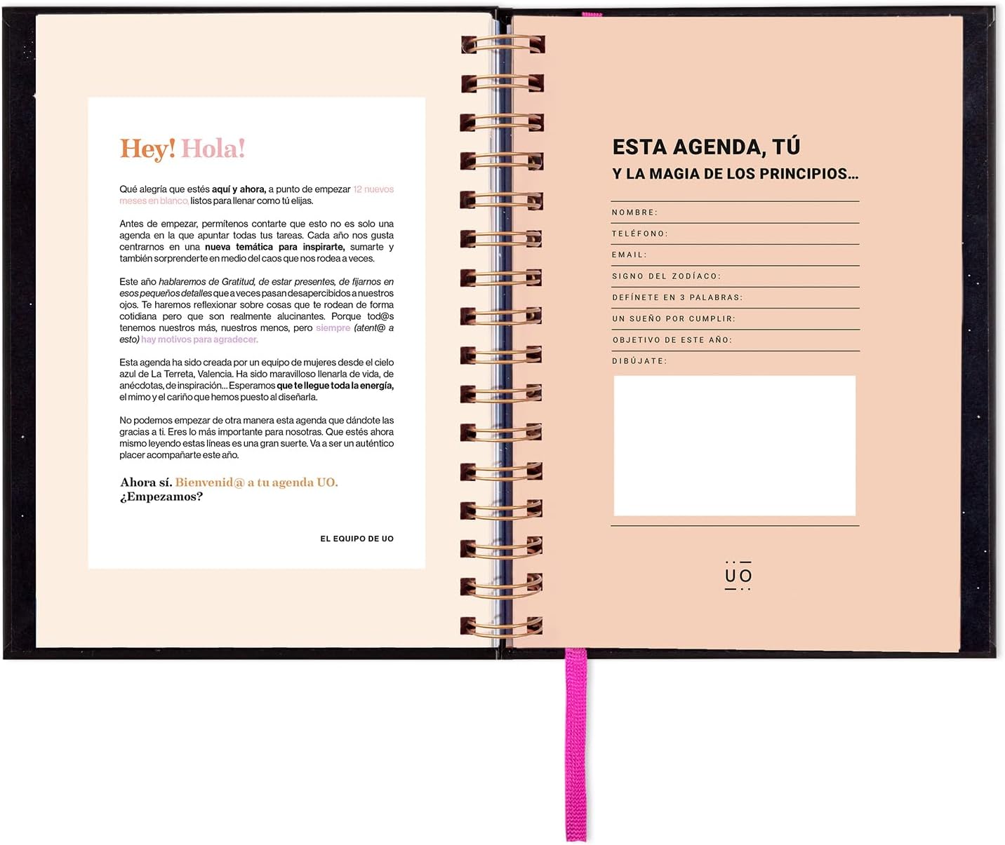 UO Annual Diary And What Happens Day Page: Starts in January 2024 and ends in December 2024, Hardcover, 126 Stickers, Elastic Band and Record Tape, Black