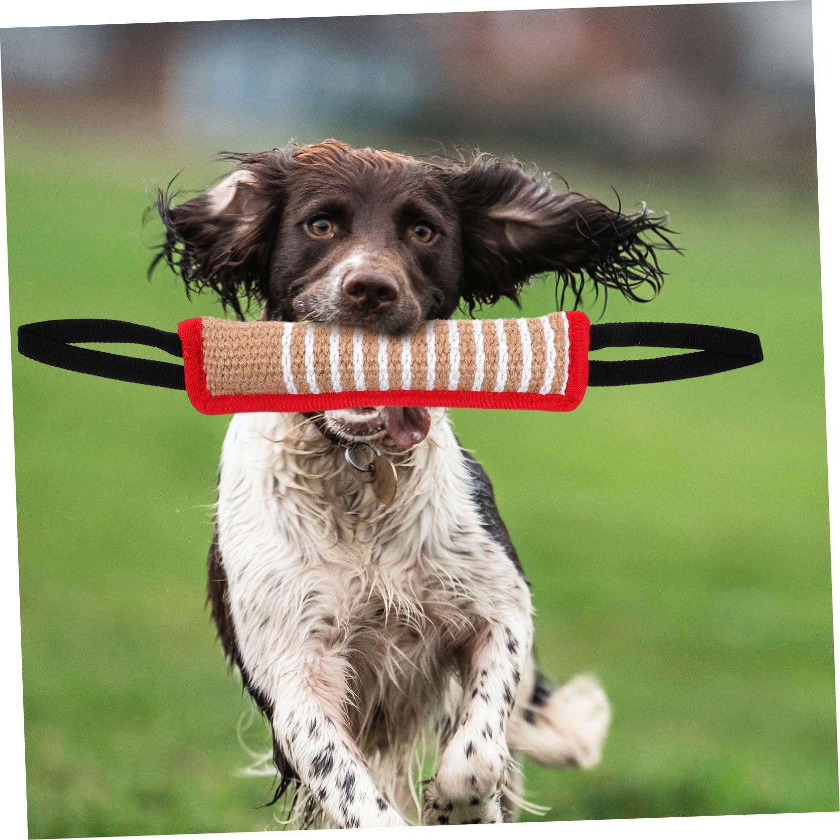 BESPORTBLE 5stücke Hundetraining Interaktives Spielzeug Jute Bisskissen Für Große Hunde Strapazierfähig Und Langlebig Für Aktives Spielen Und Kauen Um Langeweile Zu Vermeiden