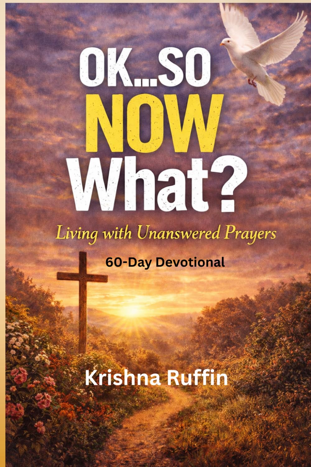 Ok...So Now What? Living with Unanswered Prayers: 60 Day Devotional