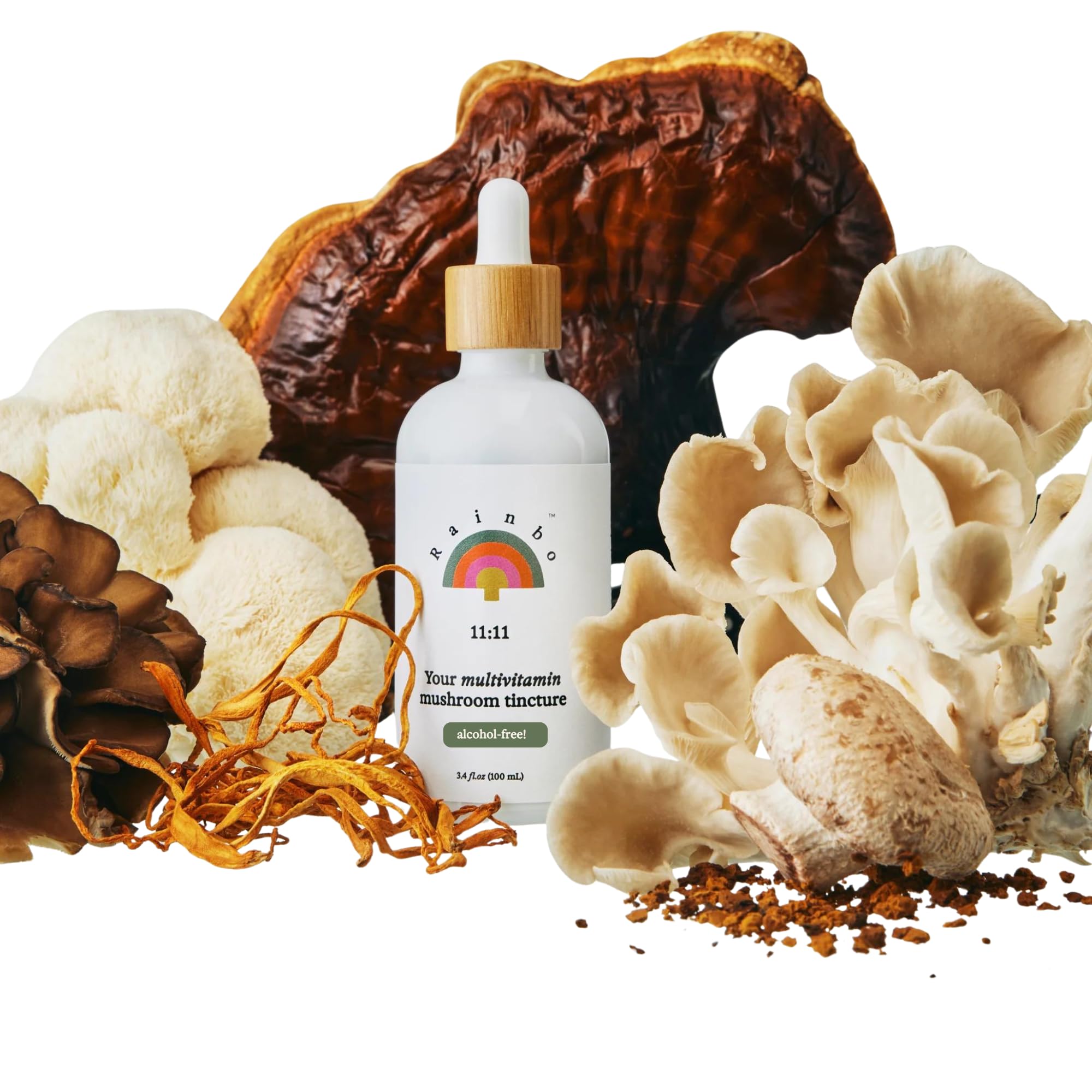 Rainbo - 11:11 Multi Mushroom Tincture - 11-in-1 Alcohol Free - Dual Extract Mushroom Blend - Comprehensive Immune Support, Brain Support, Liquid Lion's Mane & Turkey Tail, Vegan, Non GMO, 3.4 fl oz