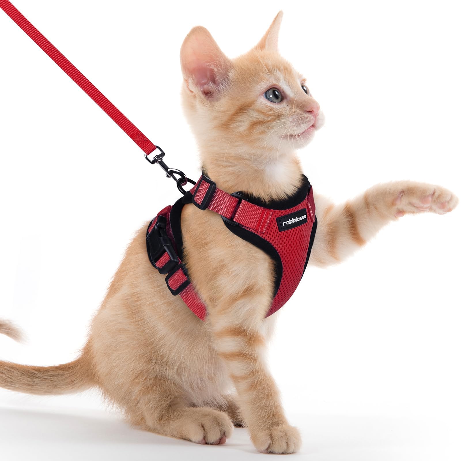 rabbitgoo Pettorina Gatto Antifuga con Guinzaglio, Guinzaglio per Gatti Regolabile, Pettorina Cane Taglia Piccola Riflettente, Imbracatura Gatto Adulto in Maglia Traspirante per Camminare, Rosso, XXS