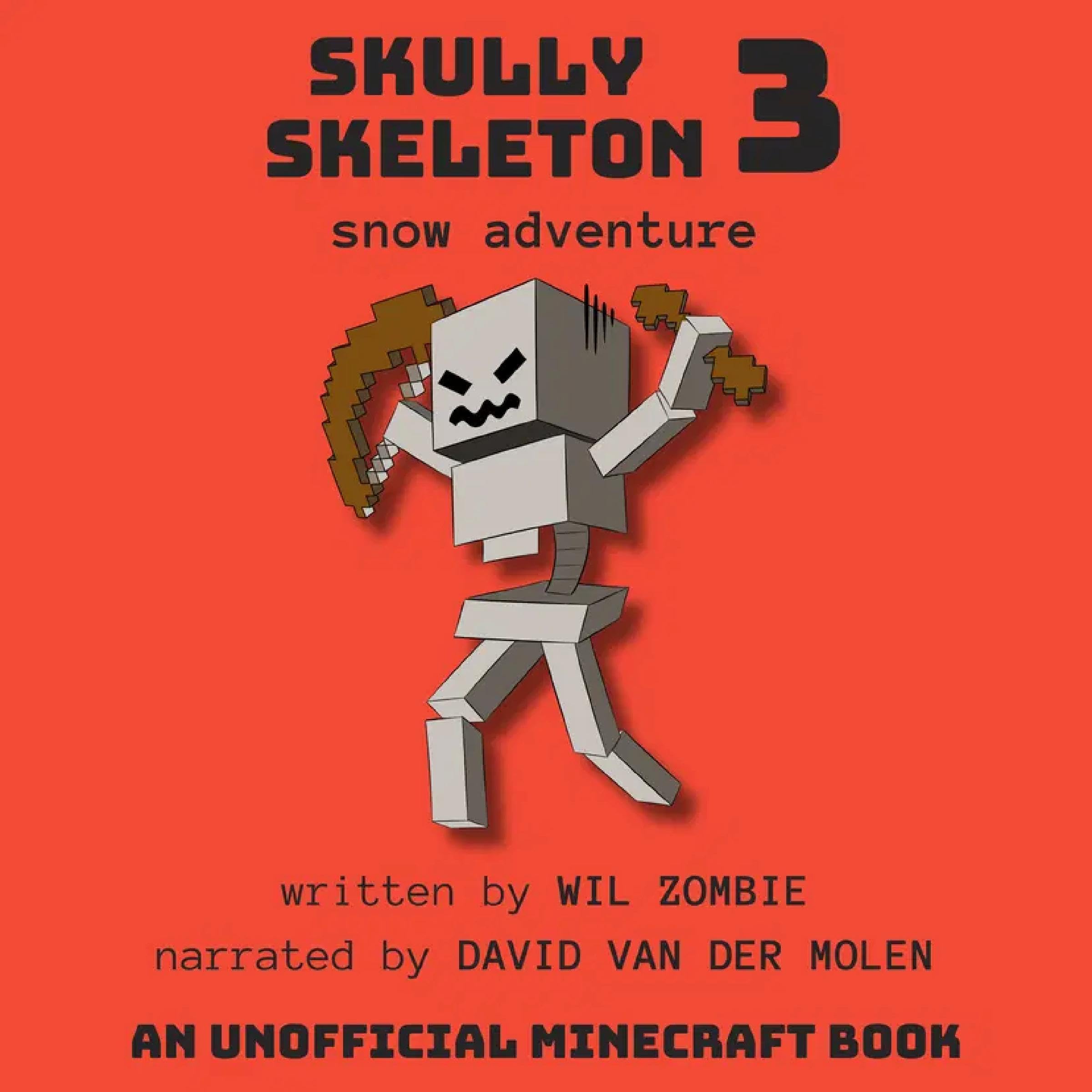 Cover art for Skully Skeleton 3: Snow Adventure