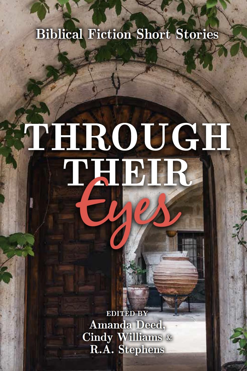 Through Their Eyes (Paperback Book)