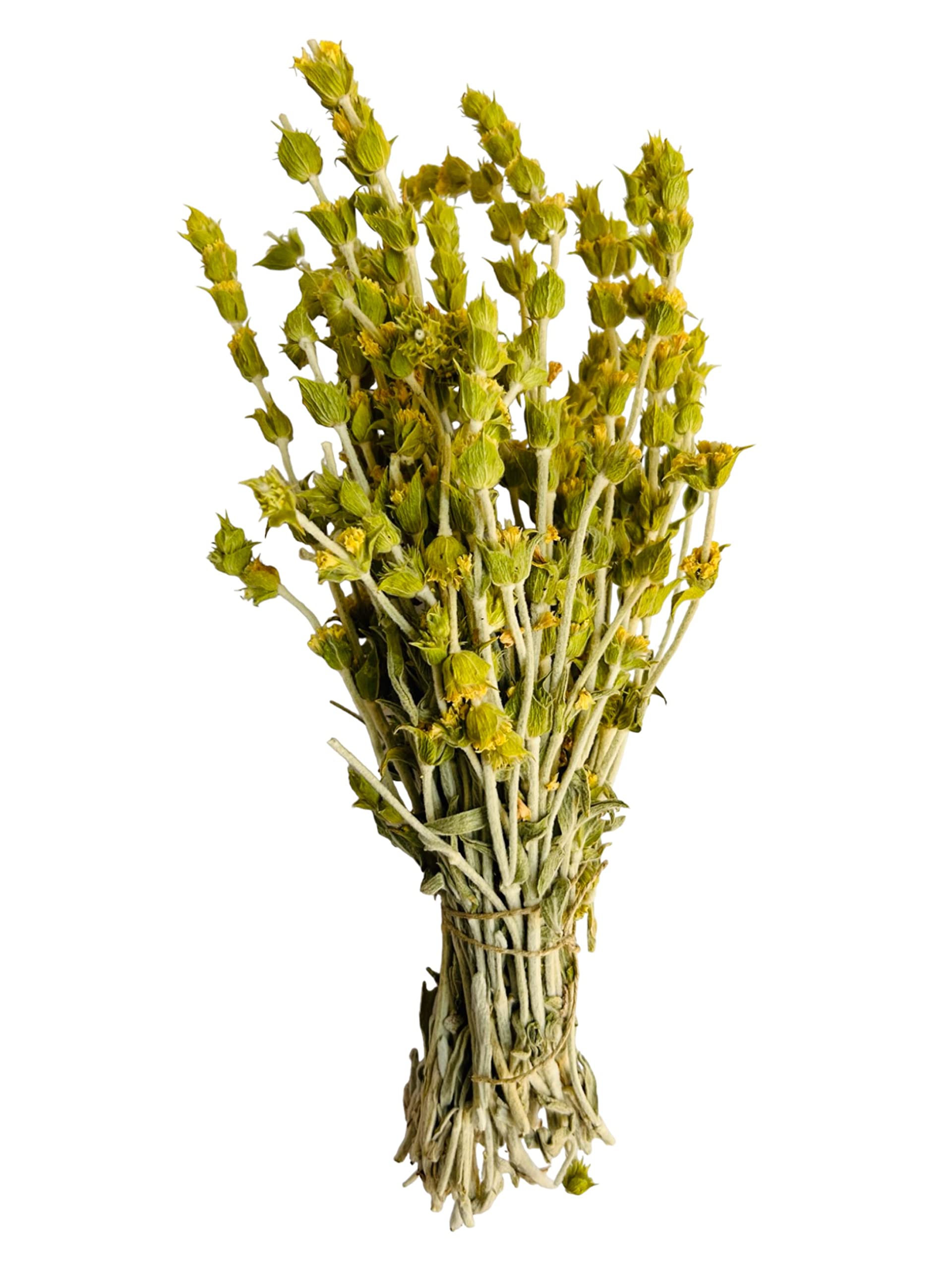 Prémium Té De Montaña Griego Manojo Entero 220g - 1.95Kg Sideritis Scardica (1950 gramos)