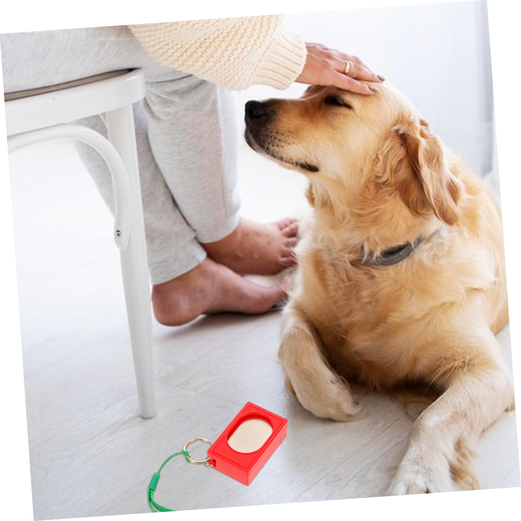 Sosoport 10stücke Clicker Für Hunde Pet Training Tool Zur Verhaltenskorrektur Effektives Training Für Welpen Und Erwachsene Geeignet Für Töpfchentraining Und Haustraining