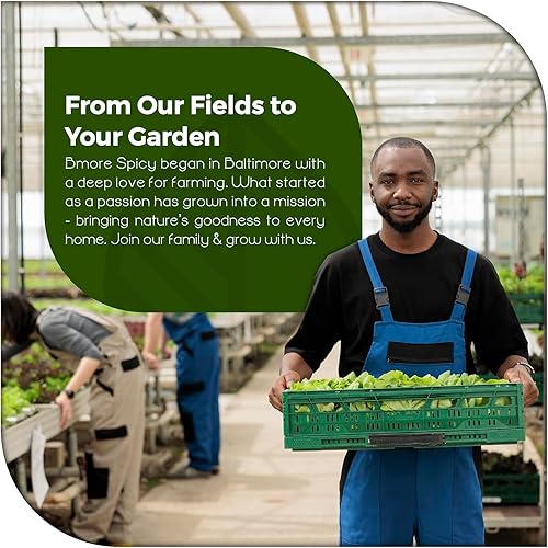 Miniatura 4 de 15 - 500 Semillas Blackeye Pea Black Eye Eyed Southern Cow Peas Frijoles (500)