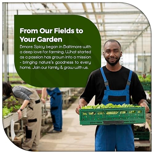 Miniatura 4 de Bmore Spicy Paquete combinado – Pimienta fantasma (también conocida como Bhut Jolokia 25 semillas), Carolina Reaper (20) y Trinidad Moruga Scorpion