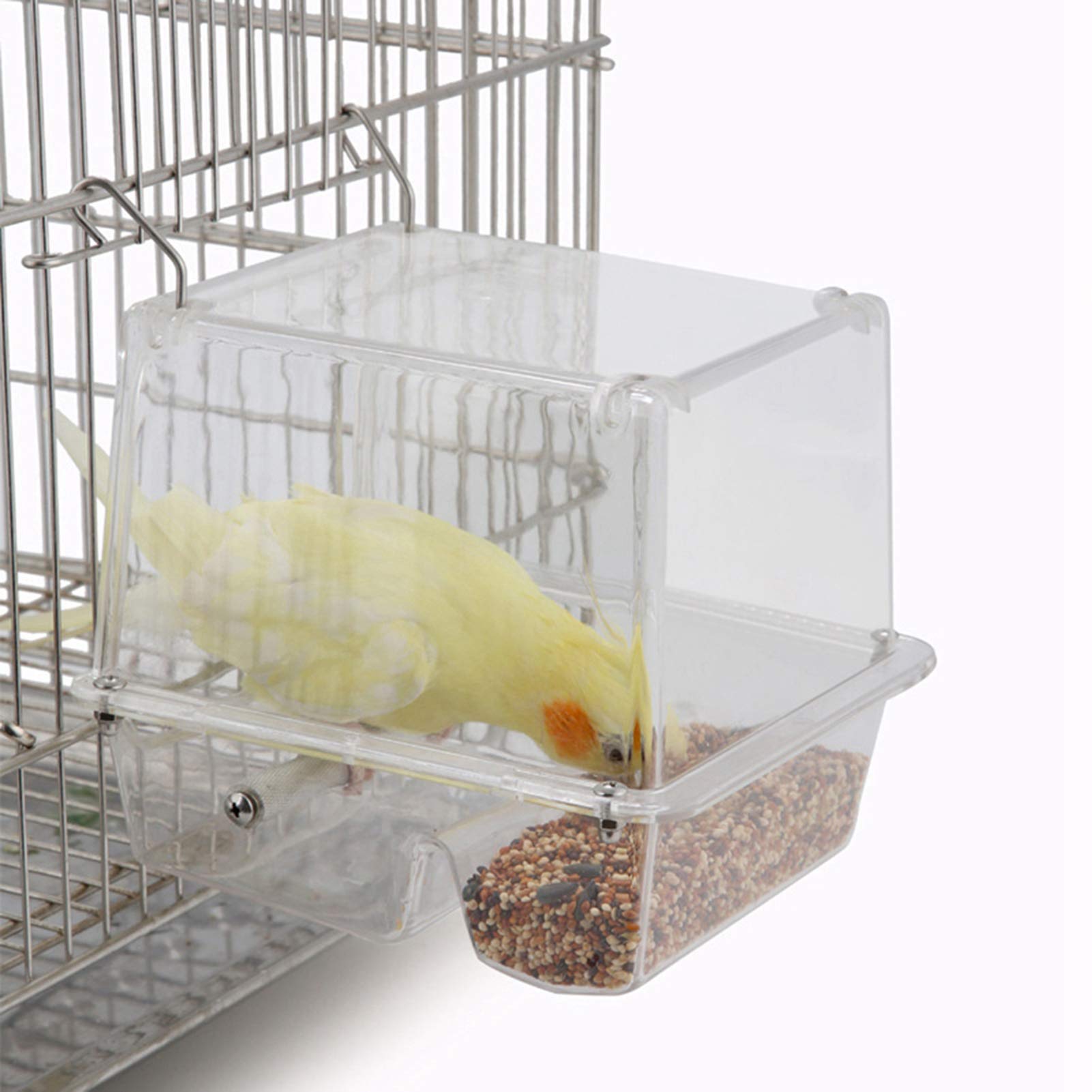 Mangiatoia per uccelli No Mess, mangiatoia automatica per pappagalli, contenitore per alimenti in plastica trasparente, accessori per mangiatoia per pappagalli, accessori per