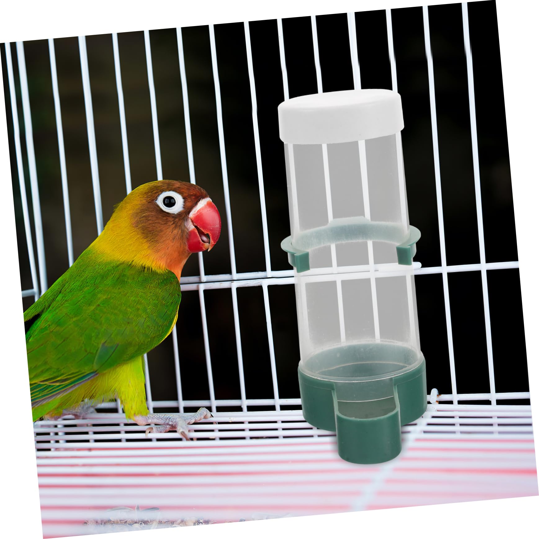 Abaodam 20stücke Automatischer Wasserspender Für Vögel Vogelkäfig Zubehör Für Wellensittiche Nymphensittiche Kanarienvögel Und Andere Haustierarten Selbstbedienbare Fütterung