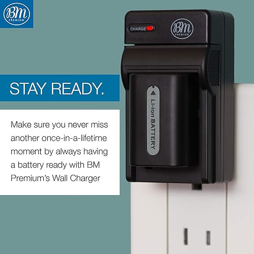 Miniatura 6 de BM Premium - Paquete de 2 baterías NP-FH50 y cargador de batería para cámara digital Sony CyberShot DSC-HX100V DSC-HX200V