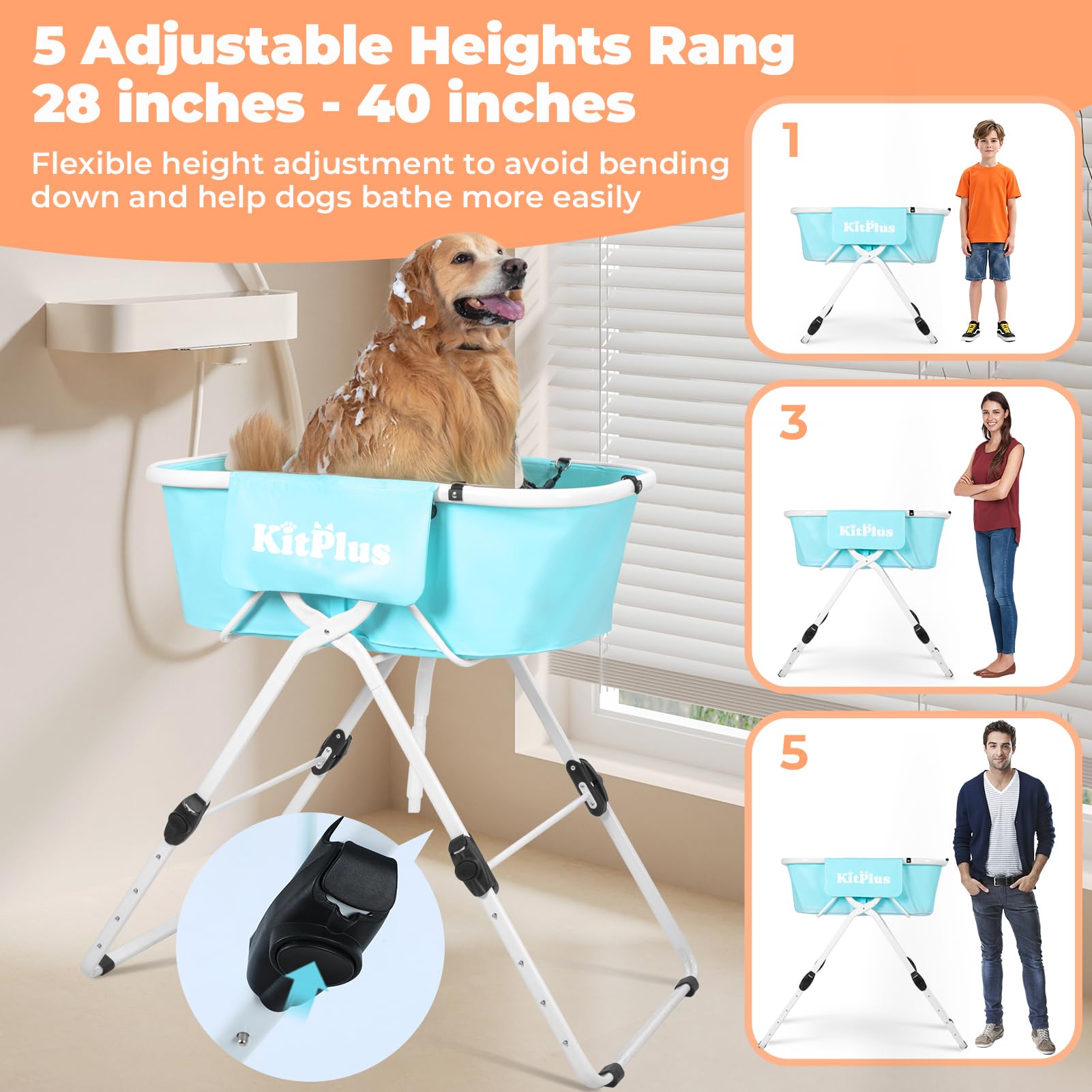 https://m.media-amazon.com/images/I/71YOy++NZ+L.jpg