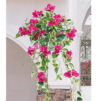 ともみん　エコ配限定　敷物、フラワーベース付き　ブーゲンビレア ともみん エコ配限定 敷物、フラワーベース付き ブーゲンビレア