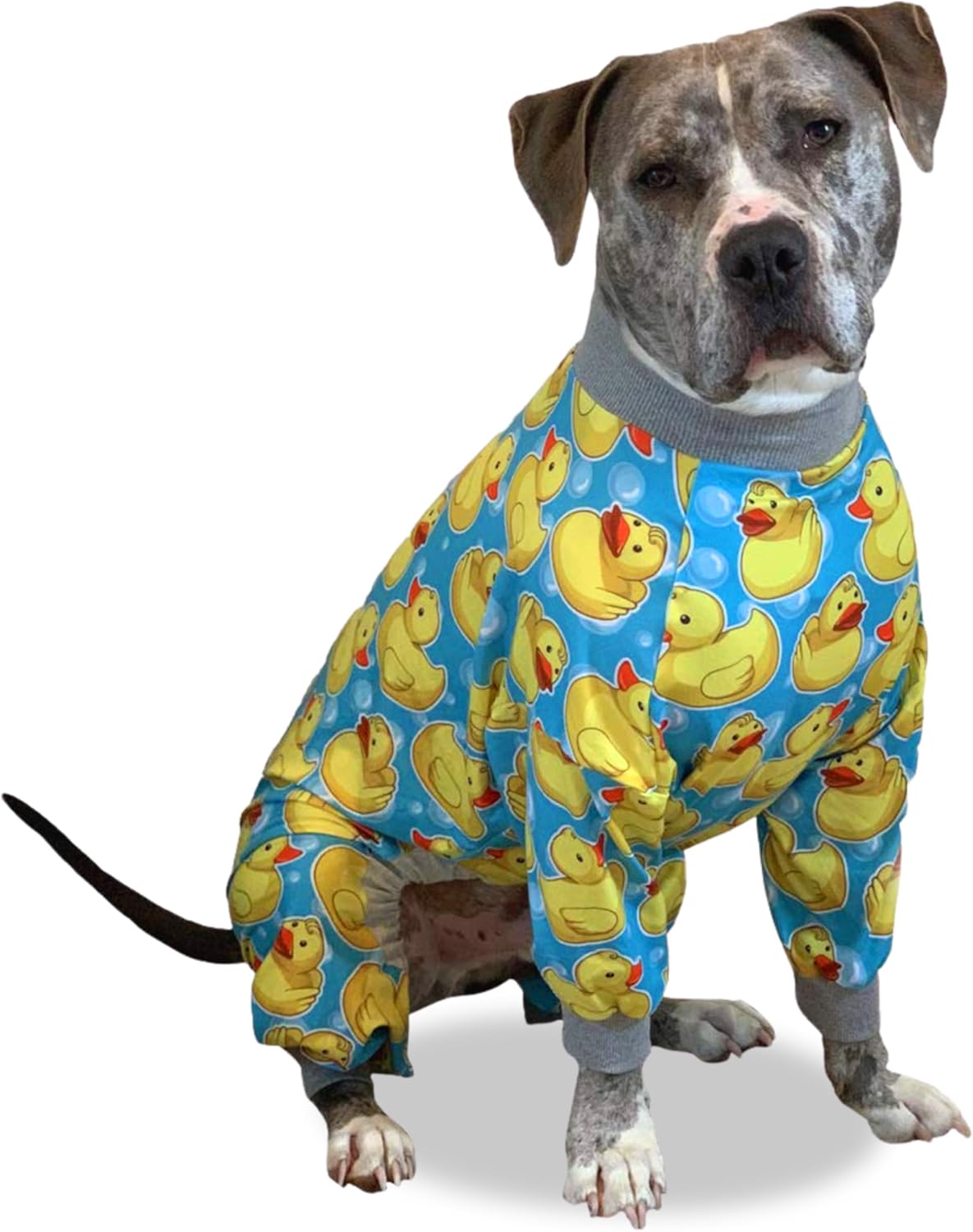 Pit Bull Pajamas with Rubber Duck Print