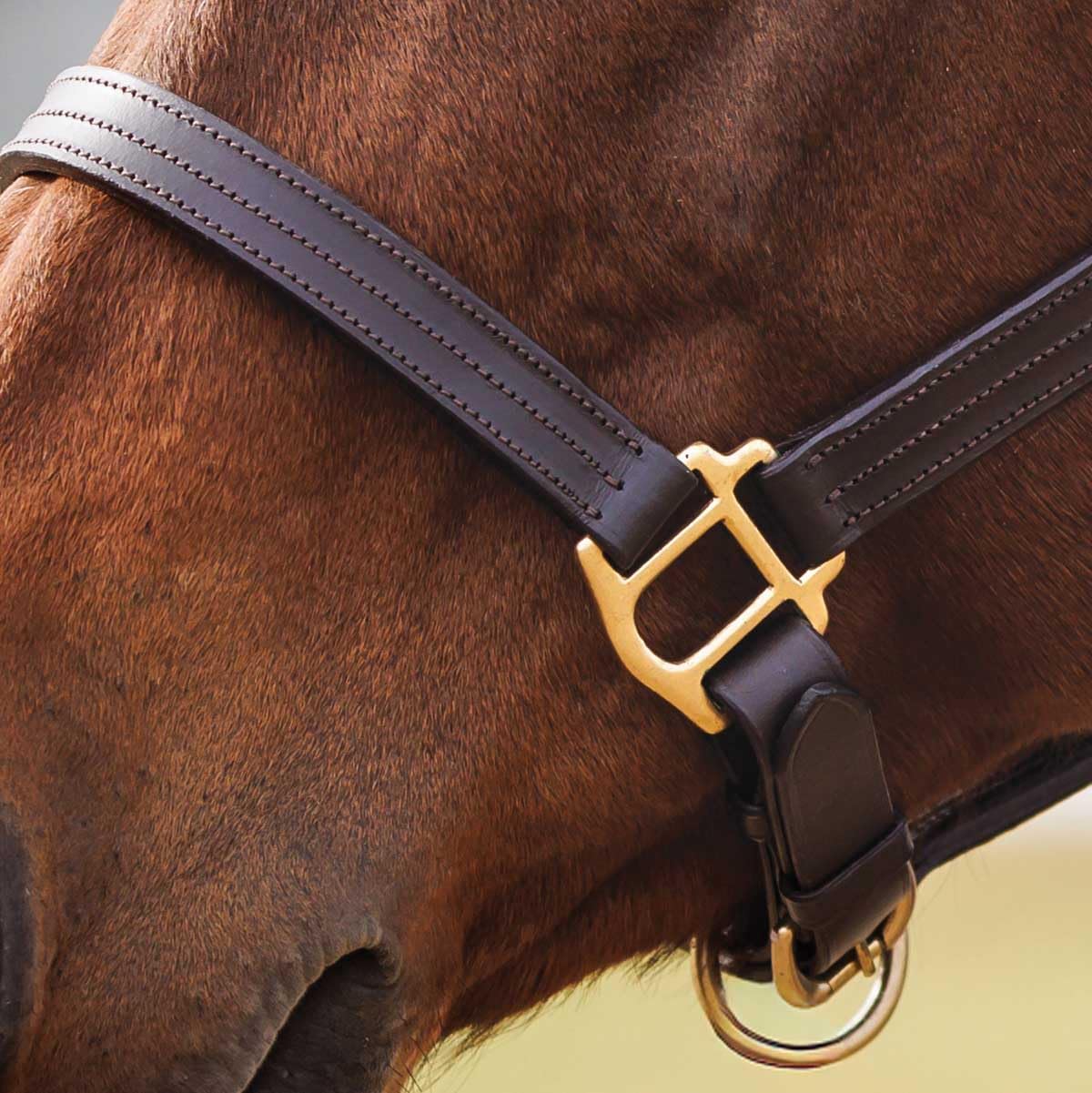 Country Pride Fairfield Triple Stitched Leather Halter