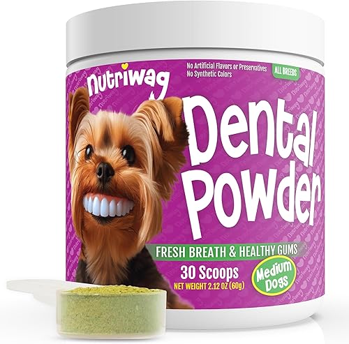 Polvo dental  Dientes limpios, encías saludables y aliento fresco  Maneja la placa y la acumulación de sarro sin necesidad de cepillado  Formulado