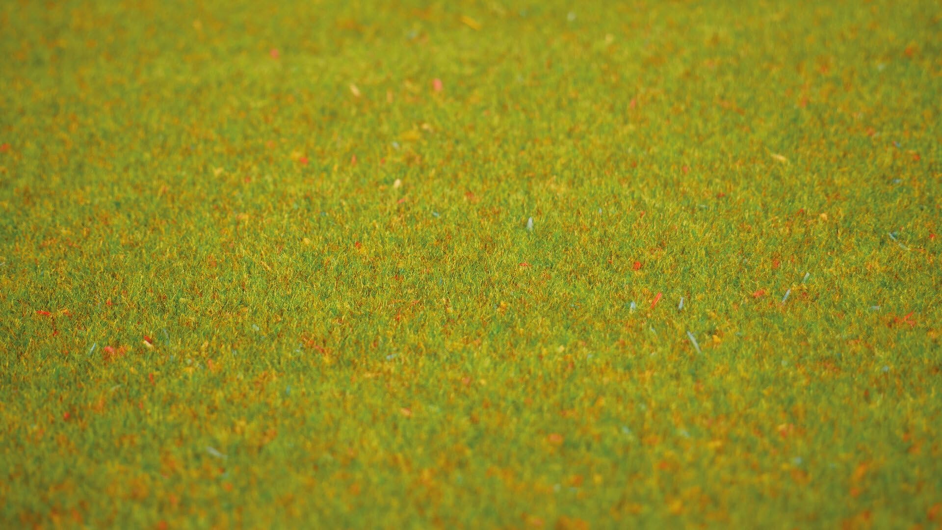 Tappeto erboso Fiorito 120x60 cm Ho-TT
