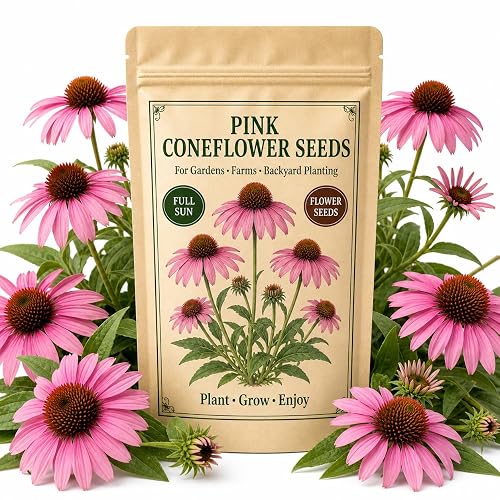 100 Pink Coneflower Seeds – Non-GMO Heirloom Echinacea for Pollinator-Friendly