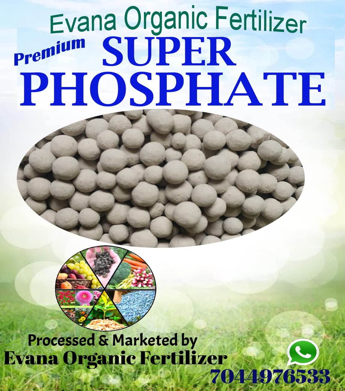 Evana Organic Fertilizer Premium Super Phosphate Organic Manure for Home Plants Gardening Fruiting and Flowering ||Essential Plant Nutrient & Plant Food || Pure fertiliser 400 Grams (B0C37T7BWC) Amazon Price History, Amazon Price Tracker