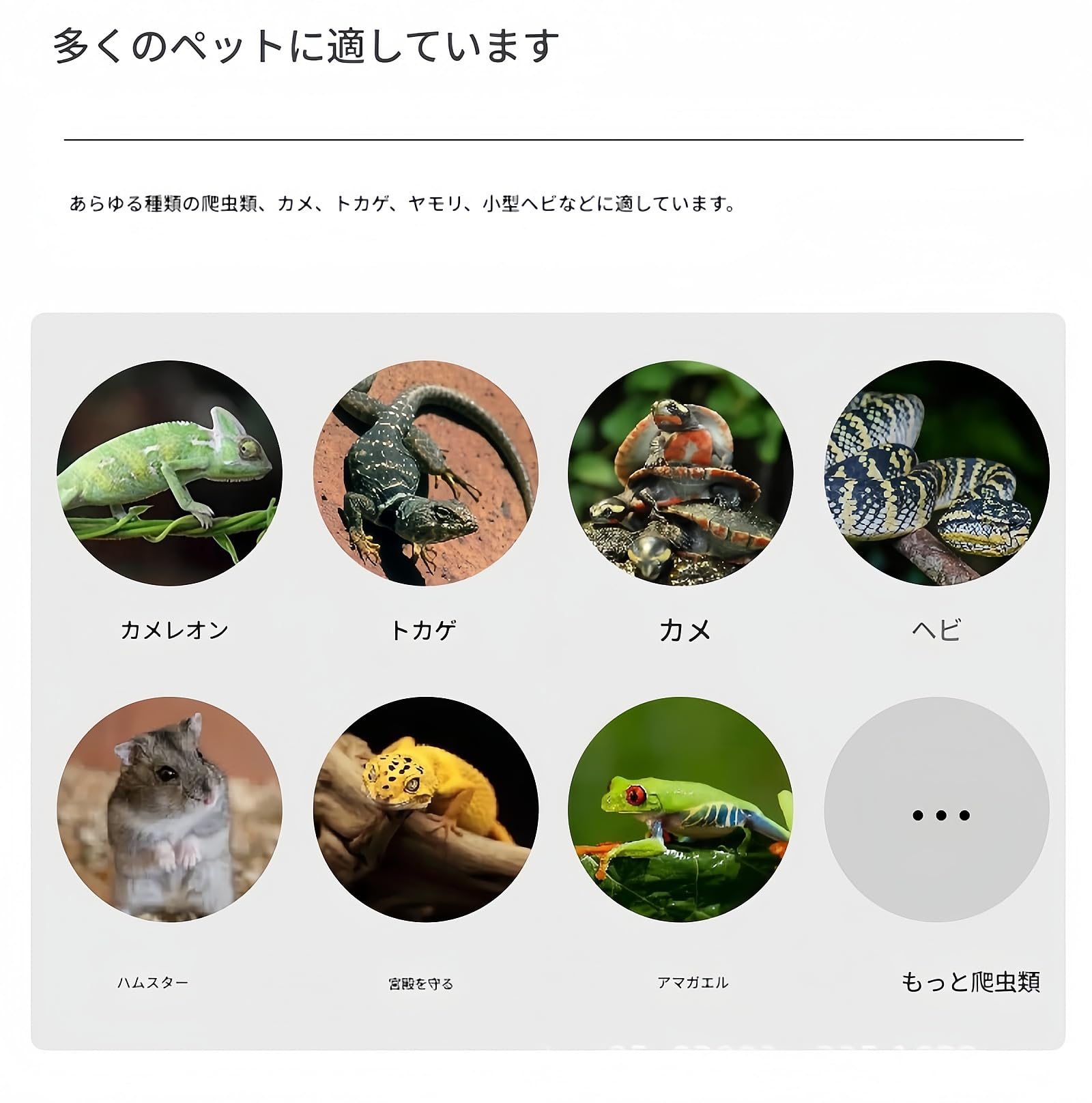 Amazon | Ziuuihu爬虫類 飼育ケージ 両生類 ケージ 室内換気良好